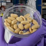 Photo of a hand holding a dish full of peanuts.